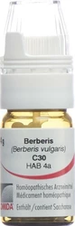 Omida Berberis Globuli 30 C mit Dosierhilfe