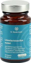 Dr. Niedermaier Limosilactobacillus reuteri MONO Kapsel