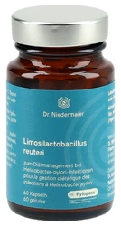 Dr. Niedermaier Limosilactobacillus reuteri MONO Kapsel