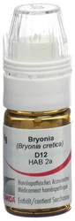Omida Bryonia Globuli 12 D Dosierhilfe