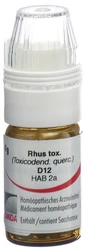Omida Rhus toxicodendron Globuli 12 D mit Dosierhilfe