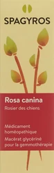 Spagyros Rosa canina Glyc Maz 1 D
