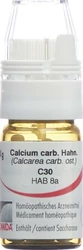 Omida Calcium carbonicum Hahnemanni Globuli 30 C mit Dosierhilfe