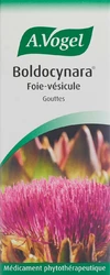 A. Vogel Boldocynara Boldocynr Leber-Glle Tropfen