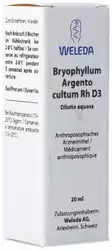 WELEDA Bryophyllum Argento cultum Rh 3 D Dilutio aquosa