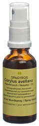 Spagyros Corylus avellana Glyc Maz 1 D