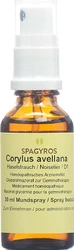 Spagyros Corylus avellana Glyc Maz 1 D