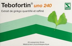 Tebofortin uno Filmtablette 240 mg