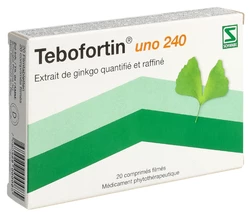 Tebofortin uno Filmtablette 240 mg