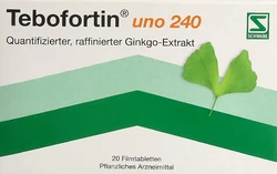 Tebofortin uno Filmtablette 240 mg