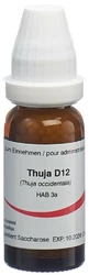 Omida Thuja Globuli 12 D