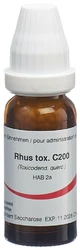 Omida Rhus toxicodendron Globuli 200 C