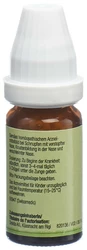 Omida Stockschnupfenchügeli für Kinder ohne Zucker