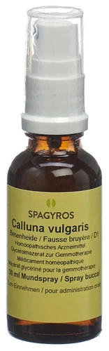 Image link