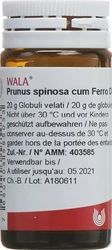 Wala Prunus spinosa ferm c Ferro Globuli 3 D