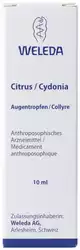 WELEDA Citrus/Cydonia Gtt Opht