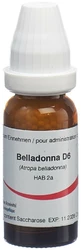 Omida Belladonna Globuli 6 D