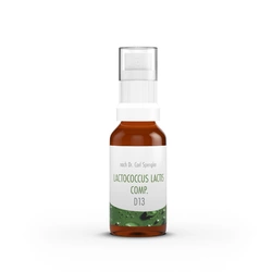 Dr. Spengler Immuntherapie Lactococcus lactis comp. Spray 13 D