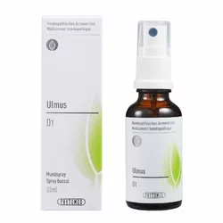 PHYTOMED Ulmus flüssig 1 D