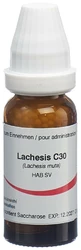 Omida Lachesis Globuli 30 C