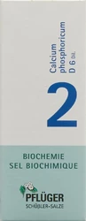 PFLÜGER Nr2 Calc phos Tropfen 6 D
