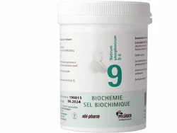 PFLÜGER no9 natrium phosphoricum pdr 6 D