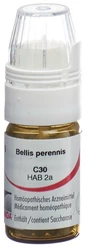 Omida Bellis perennis Globuli 30 C mit Dosierhilfe