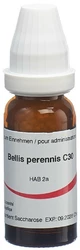 Omida Bellis perennis Globuli 30 C