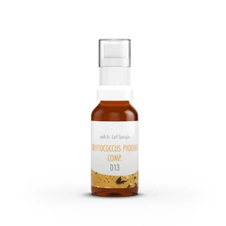Dr. Spengler Immuntherapie Streptococcus pyogenes comp. Spray 13 D