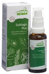 HEIDAK Solidago plus Spray