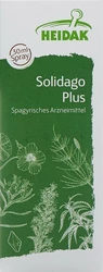 HEIDAK Solidago plus Spray