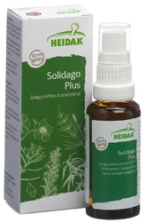 HEIDAK Solidago plus Spray