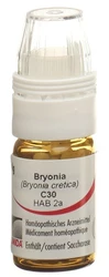 Omida Bryonia Globuli 30 C mit Dosierhilfe