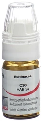 Omida Echinacea Globuli 30 C mit Dosierhilfe