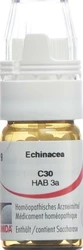 Omida Echinacea Globuli 30 C mit Dosierhilfe
