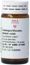 Wala Crataegus/Viscum Globuli