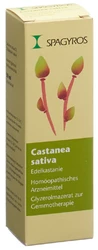 Spagyros castanea sativa mac glyc 1 D