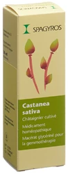 Spagyros Castanea sativa Glyc Maz 1 D