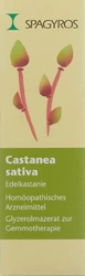 Spagyros Castanea sativa Glyc Maz 1 D