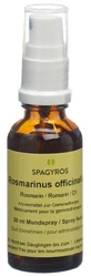 Spagyros Rosmarinus officinalis Glyc Maz 1 D