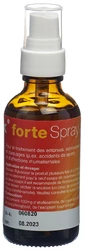 Rheumalix forte Spray