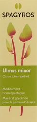 Spagyros Ulmus minor Glyc Maz 1 D