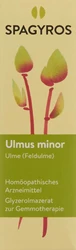 Spagyros Ulmus minor Glyc Maz 1 D