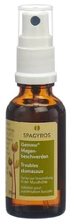 Spagyros Magenbeschwerden Mundspray