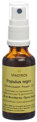 Spagyros Populus nigra Glyc Maz 1 D