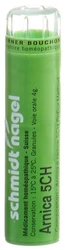 schmidt-nagel Arnica Granulat 5 CH