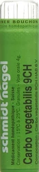 schmidt-nagel Carbo vegetabilis Granulat 9 CH
