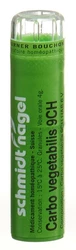 schmidt-nagel Carbo vegetabilis Granulat 9 CH