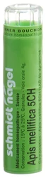 schmidt-nagel Apis mellifica Granulat 5 CH