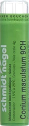 schmidt-nagel Conium maculatum Granulat 9 CH